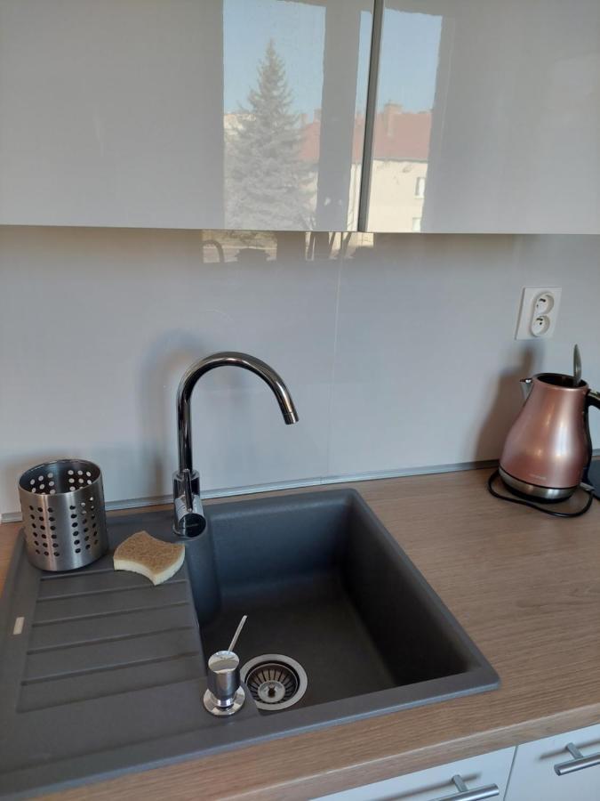 Emily Apartment コシツェ エクステリア 写真