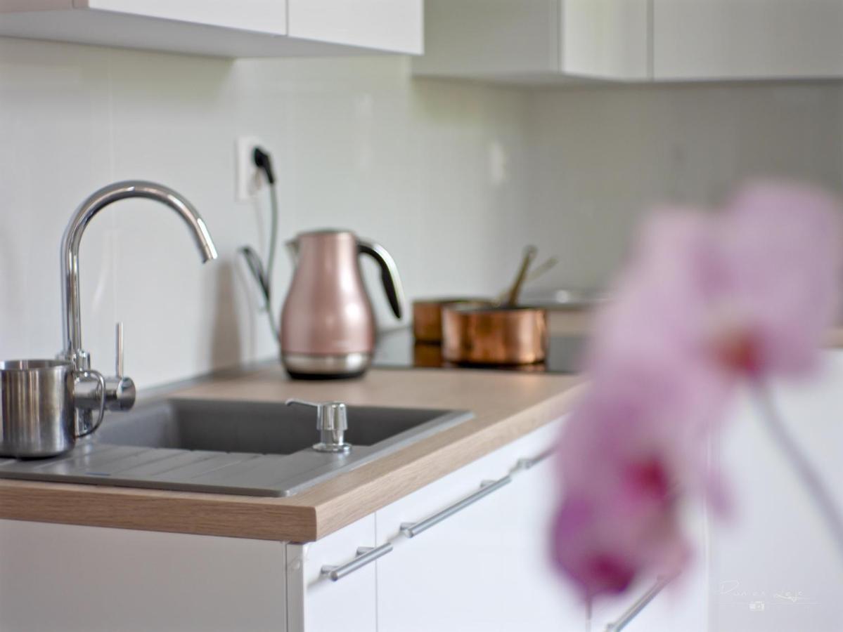 Emily Apartment コシツェ エクステリア 写真