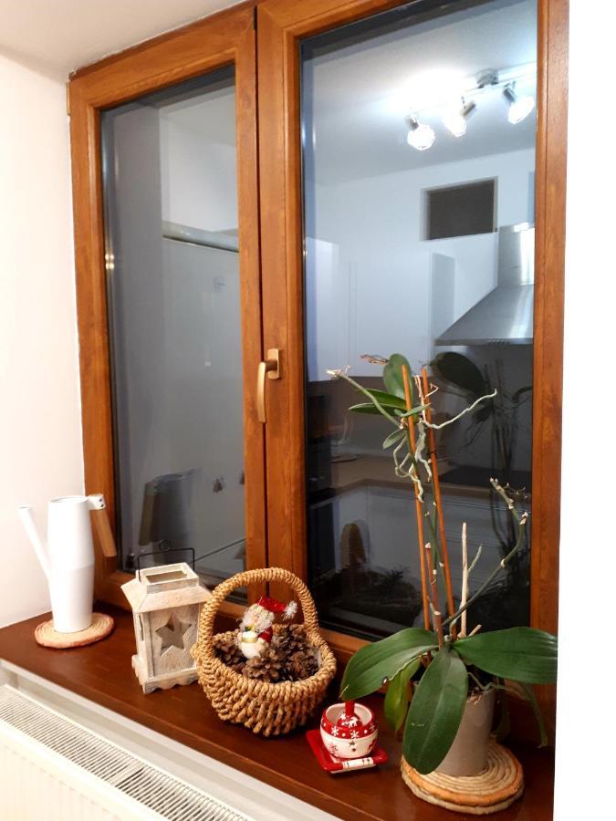 Emily Apartment コシツェ エクステリア 写真